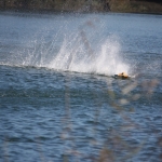 IMG_7931