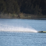 IMG_7952